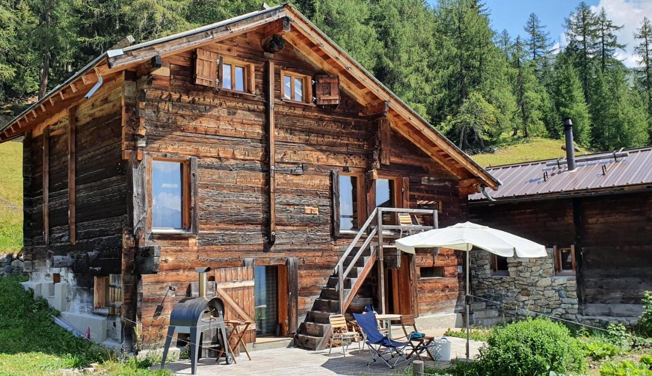 Chalet Biene - Swiss Alp Chalet With Sauna And Jacuzzi Ulrichen Dış mekan fotoğraf
